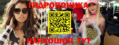 2c-b Новозыбков