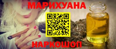 индика Новодвинск